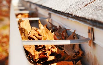 Breich gutter cleaning companies