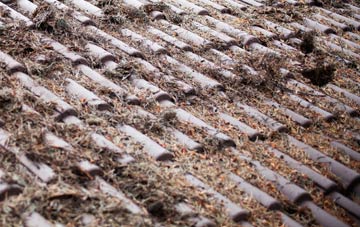 Breich roof cleaning companies